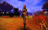 Tera_screenshot_20110121_215130